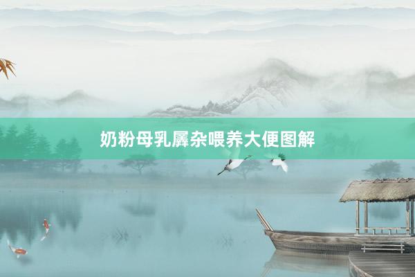 奶粉母乳羼杂喂养大便图解