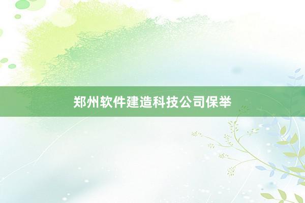 郑州软件建造科技公司保举