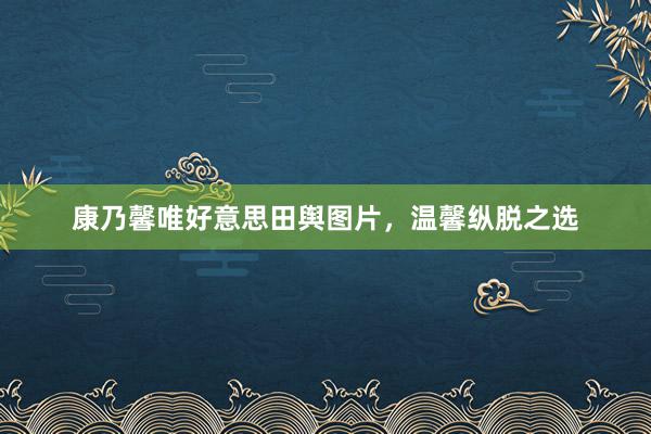 康乃馨唯好意思田舆图片，温馨纵脱之选